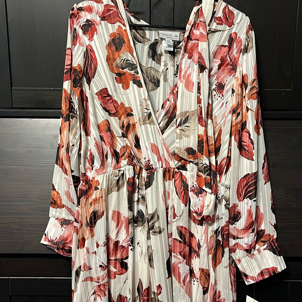 NBW NWT Alexa B Cream Rose Long Dress